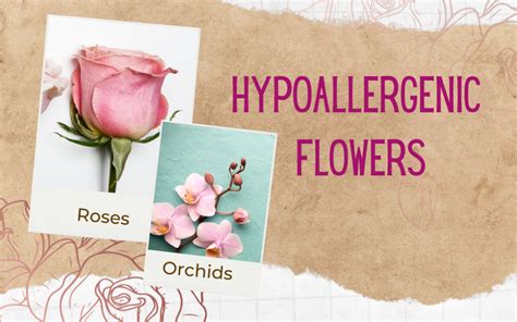 Best and Worst Flowers for Allergies - BloomNation Blog