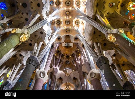 The Famous Ceiling With Pillars Inside The Sagrada Familia By Antoni