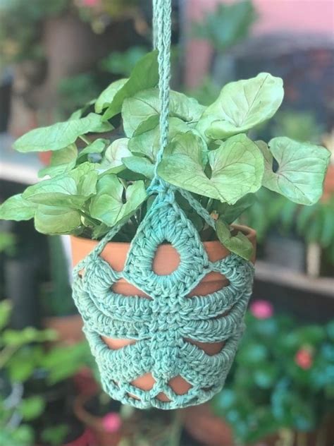 Crochet Monstera Plant Pattern Ideas