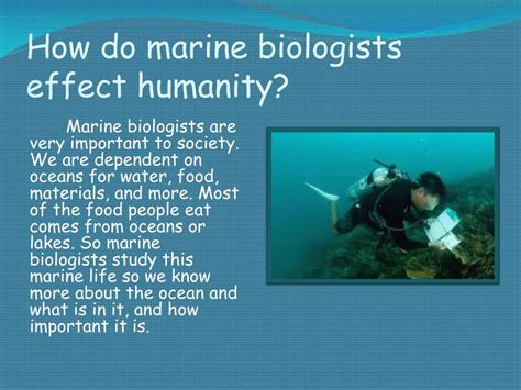 Ppt Marine Biologist Powerpoint Presentation Free Download Id2828983