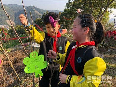 愛綠護綠，從我做起——山前社區開展植樹節活動 每日頭條