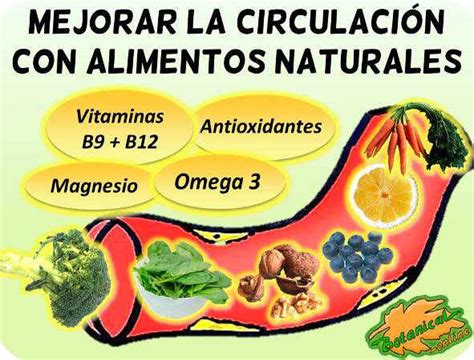 עובד האחראי על משחק הספורט חנות ספרים dieta para la mala circulacion de