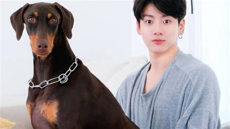 Bts Jungkook And His Adorable Dog Youll Be In Love With These Pictures