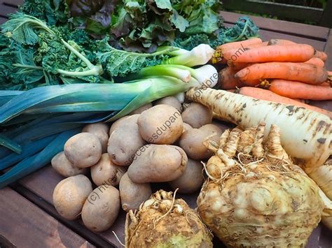 Panier Semaine Basket Week Les Recettes Du Panier