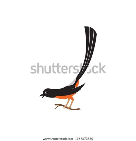 Murai Bird Illustration Logo Vector Template Stock Vector Royalty Free