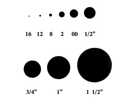 Ear Gauges Plugs A Comprehensive Sizing Guide