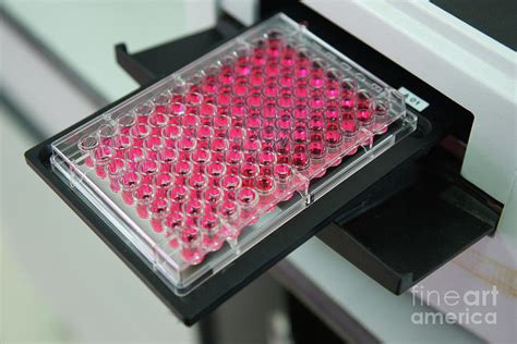 Elisa Test Plate 2 By Choksawatdikorn Science Photo Library