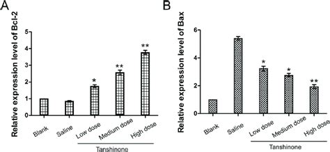 Relative Expression Levels Of Bcl 2 And Bax Mrnas By Rt Qpcr A