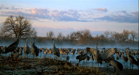 Sandhils Journey Scenic Byway | Nebraska Sandhills | Scenic byway ...