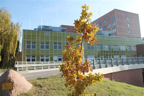 Gorzów Szpital organizuje akcję która może uratować życie