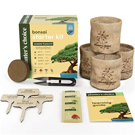 Planters Choice Bonsai Starter Kit The Complete Kit To Easily Grow