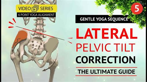 Yoga Hip Alignment Part 5 Fix You Lateral Pelvic Tilt Yoga Anatomy Course Youtube