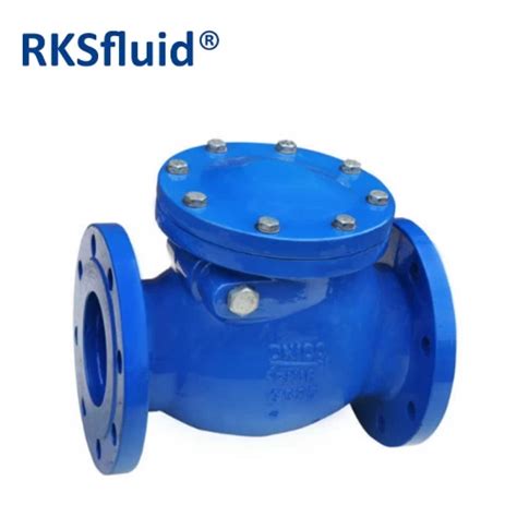 Swing Check Valve