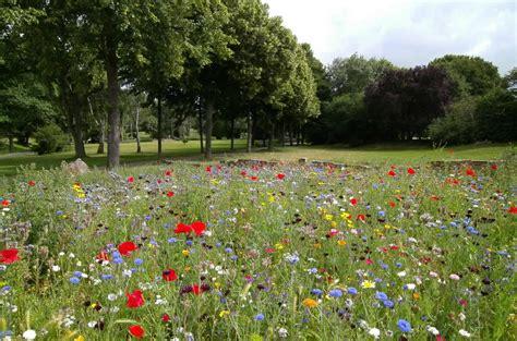 Help Shape The New Natural Play Space At Elmbridge Sports Hub All