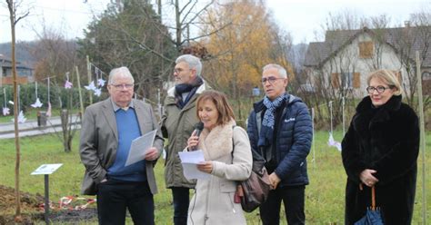 Val Sonnette Vincelles Larbre de la laïcité a été planté à