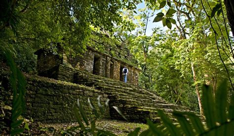 Conociendo M Xico Selva Lacandona El Pulm N Verde De M Xico