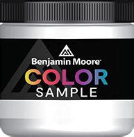 Colour Sample (214ml) - Paint Colour | Benjamin Moore