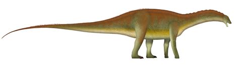 Tharosaurus Dinosaur Pedia Wikia Fandom