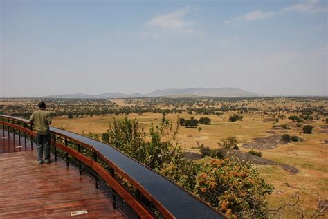 Serengeti plains - TOP OF AFRICA