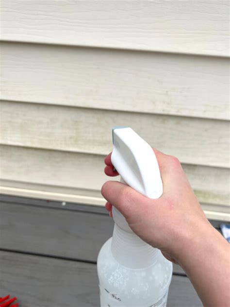 Best Homemade Vinyl Siding Cleaner (Eco-Friendly) - The DIY Nuts