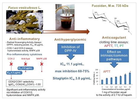 Marine Drugs Free Full Text Mechanisms Of Bioactivities Of Fucoidan