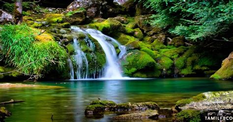 My India FB Covers: Waterfall and green nature- Nature FB Cover