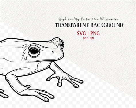 Tree Frog SVG Clipart Bundle Frog Vector Drawings Green Etsy