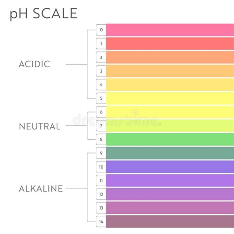 Grafico Scala Valori Ph Illustrazione Vettoriale Illustrazione Di