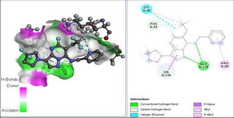 Dand D View Of The Interaction Between Otu Deubiquitinase And A