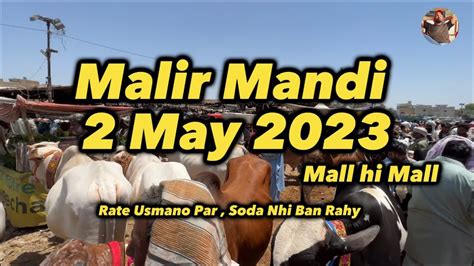 Malir Mandi 2 May 2023 ملیر مندی Mall hi Mall Rate Usamo Par