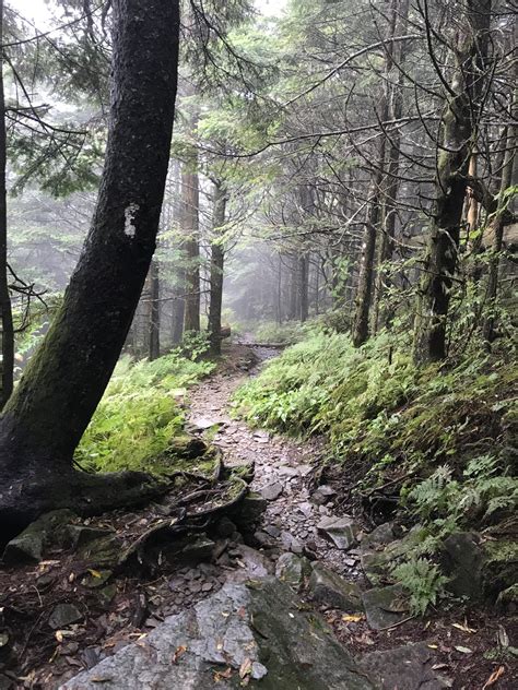 Smokies AT Thru-Hiker Permits to Double in Price in 2023 - The Trek