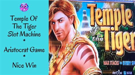 Temple Of The Tiger Slot Machine Aristocrat Game Nice Win Ms