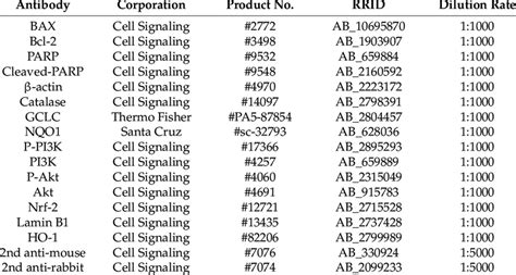 Primary and secondary antibodies use for Western blot analysis ...