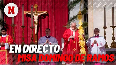 El Papa Francisco Oficia La Misa Del Domingo De Ramos En La Ciudad Del