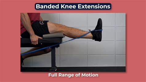 Seated Leg Extension With Band Atelier Yuwa Ciao Jp