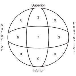 Spatial position of the cephalic element in relation to the head ...