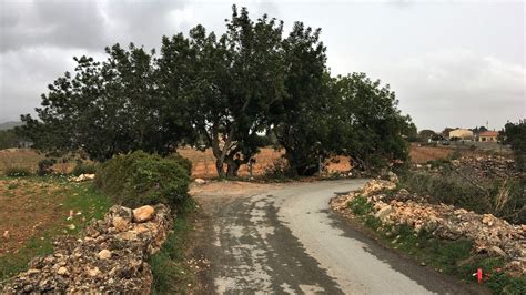 Sadjudiquen les obres d arranjament del camí del Pont de Goi d Alcover