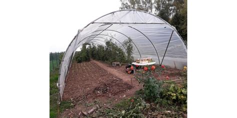 Luxeuil Les Bains Une Journ E Plantes Et Jardin Avec Bourse Aux Plants