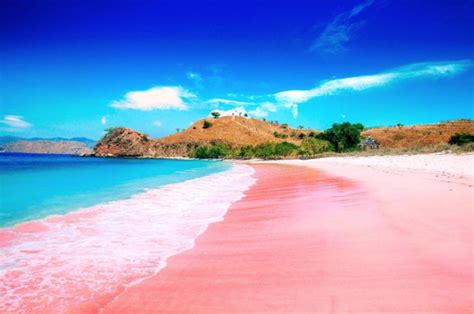 15 Breathtaking Pink Sand Beaches in the World -Trip.com