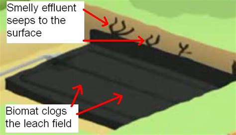 Septic Tank Problems, Part Three: Drainfield Problems - Boyett's