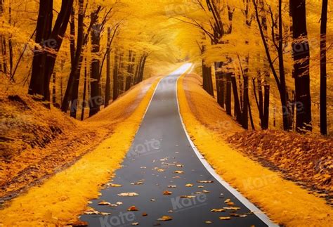 golden autumn scenic forest road backdrop
