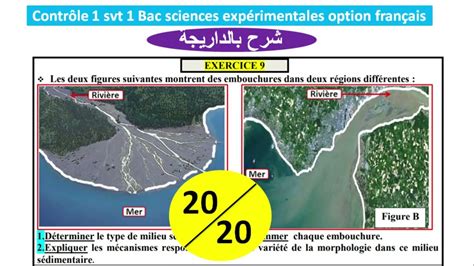 Contrôle 1 Svt 1 Bac Sc Ex Option Français Biof شرح الفرض بالداريجة