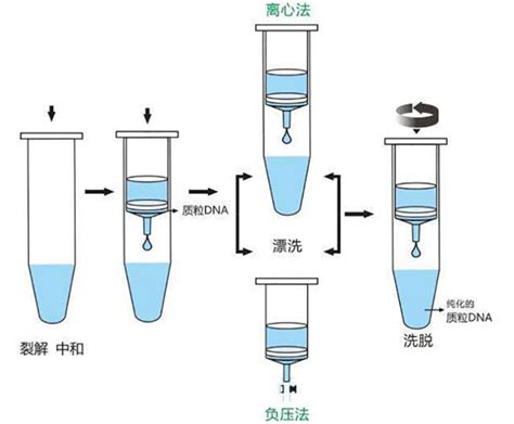 纯化柱2ml分离柱层析柱提取柱rna提取核酸 回收质粒提取dna硅胶膜 阿里巴巴