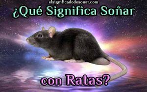 Qu Significa So Ar Con Ratas El Significado De Los Sue Os