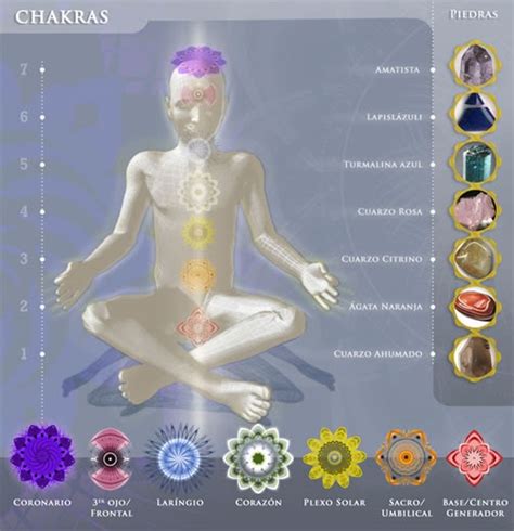 Os Chakras E A Cromoterapia Alinhar Os Chakras