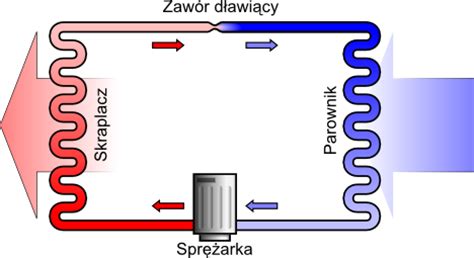 Dlaczego Jak Gdzie Dowiedz Si Jak Dzia A Lod Wka