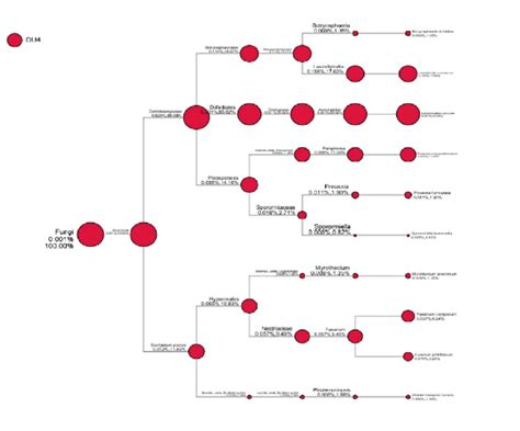 Taxa Diversity Information Of Lai Durian Durio Kutejensis Collected