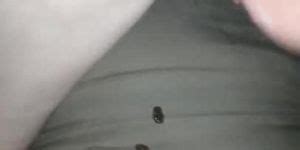 Irish Milf Blowjob Porn Videos