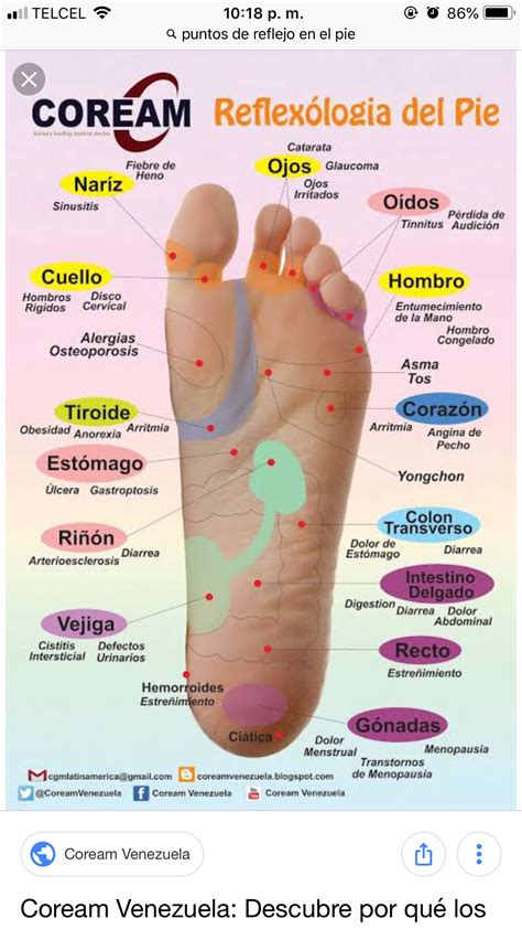 ReflexologÍa Puntos Que Curan Conozca Los Beneficios De Esta Terapia Para Aliviar Dolores Y