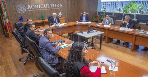 Hoy Tamaulipas Refuerzan Agricultura Y Citricultores Acciones Para